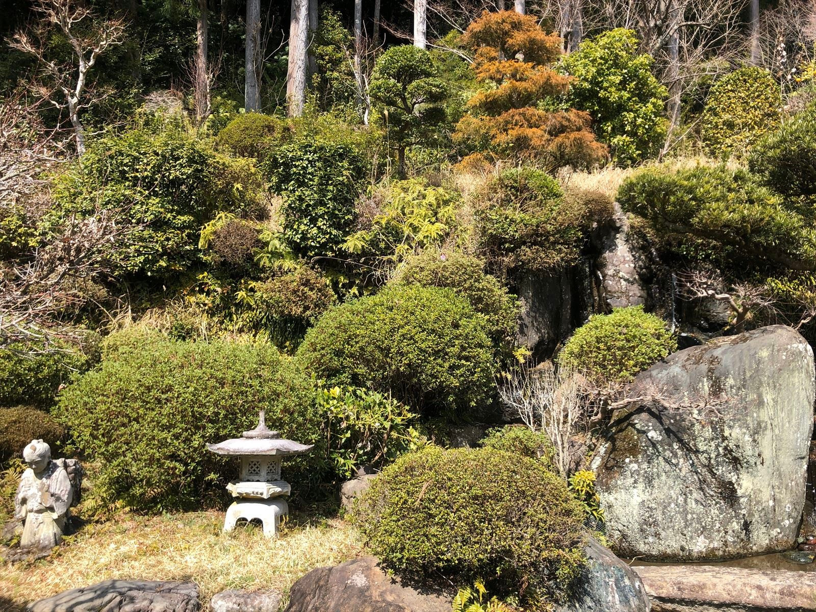 島田市のお寺ではブログで境内の様子をご紹介しております